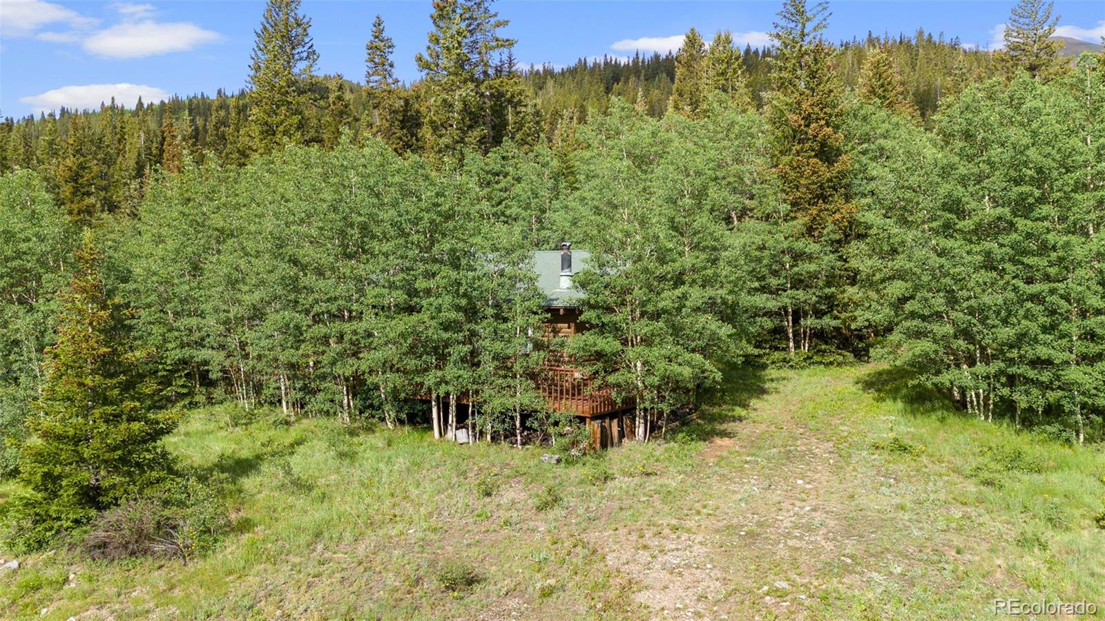 MLS Image #2 for 2895  river drive,alma, Colorado