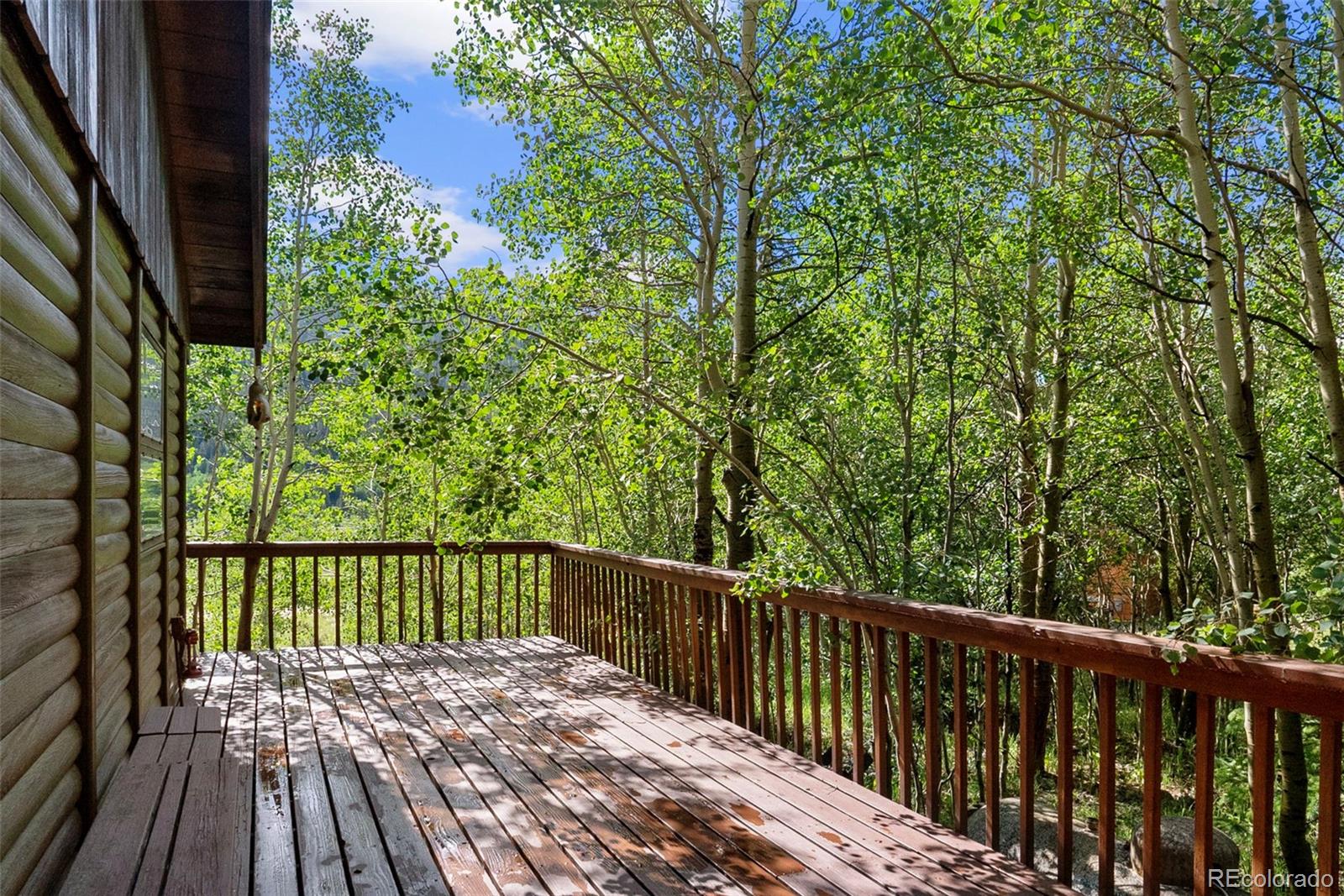 MLS Image #21 for 2895  river drive,alma, Colorado