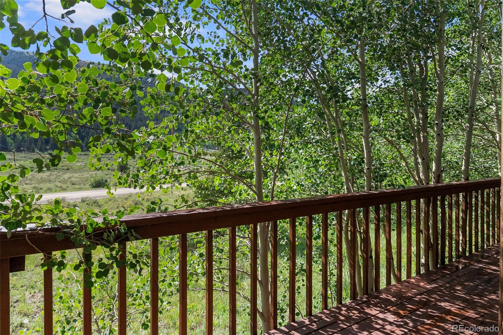 MLS Image #22 for 2895  river drive,alma, Colorado