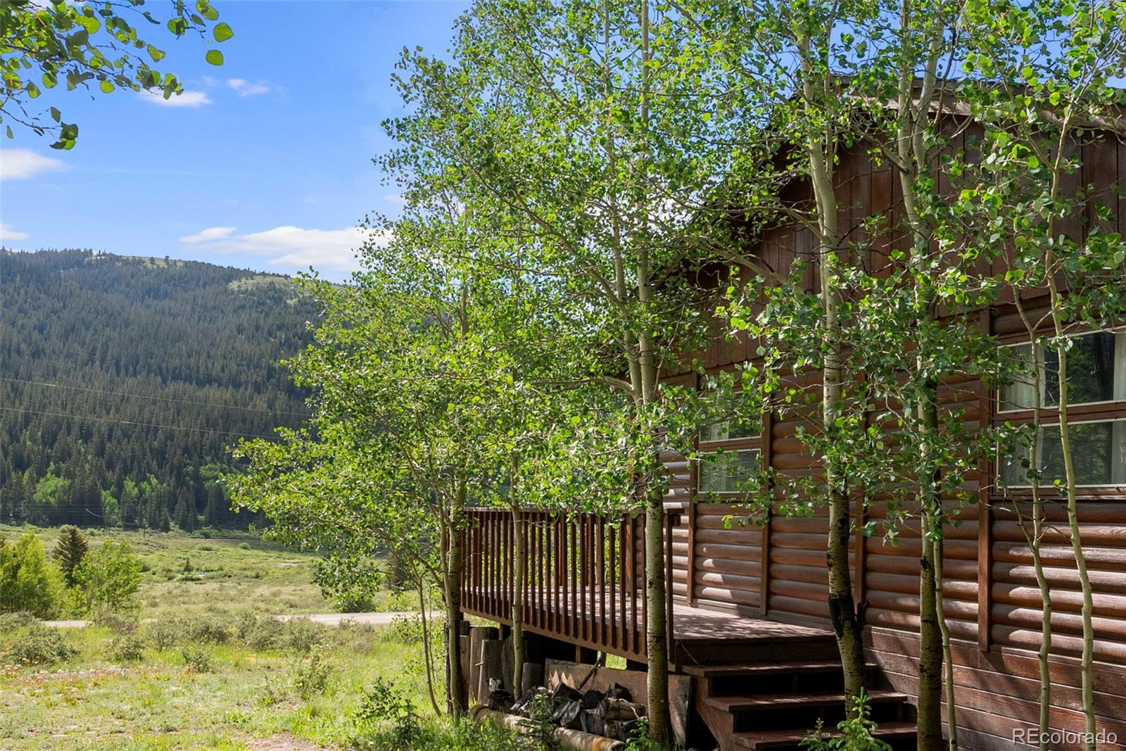 MLS Image #3 for 2895  river drive,alma, Colorado