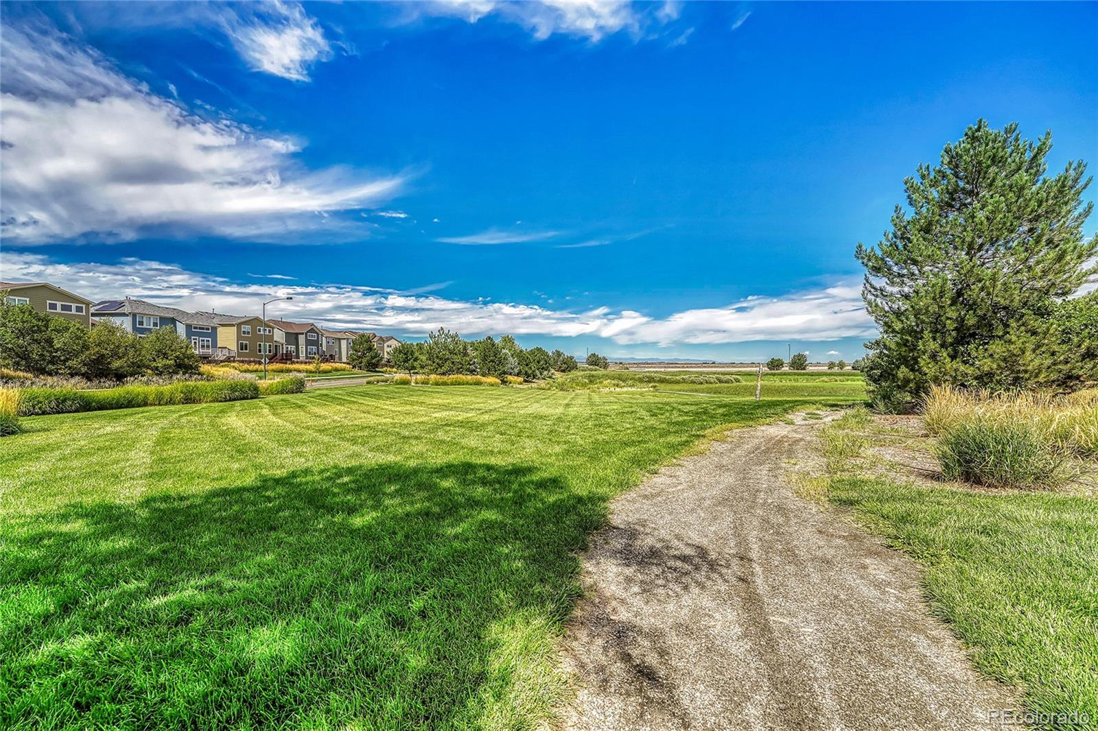 MLS Image #39 for 12782 e 105th avenue,commerce city, Colorado