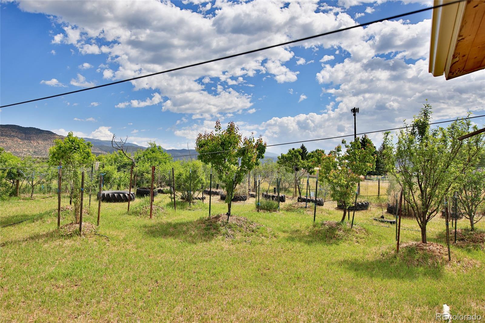 MLS Image #25 for 5867  pe 3/10 road,collbran, Colorado