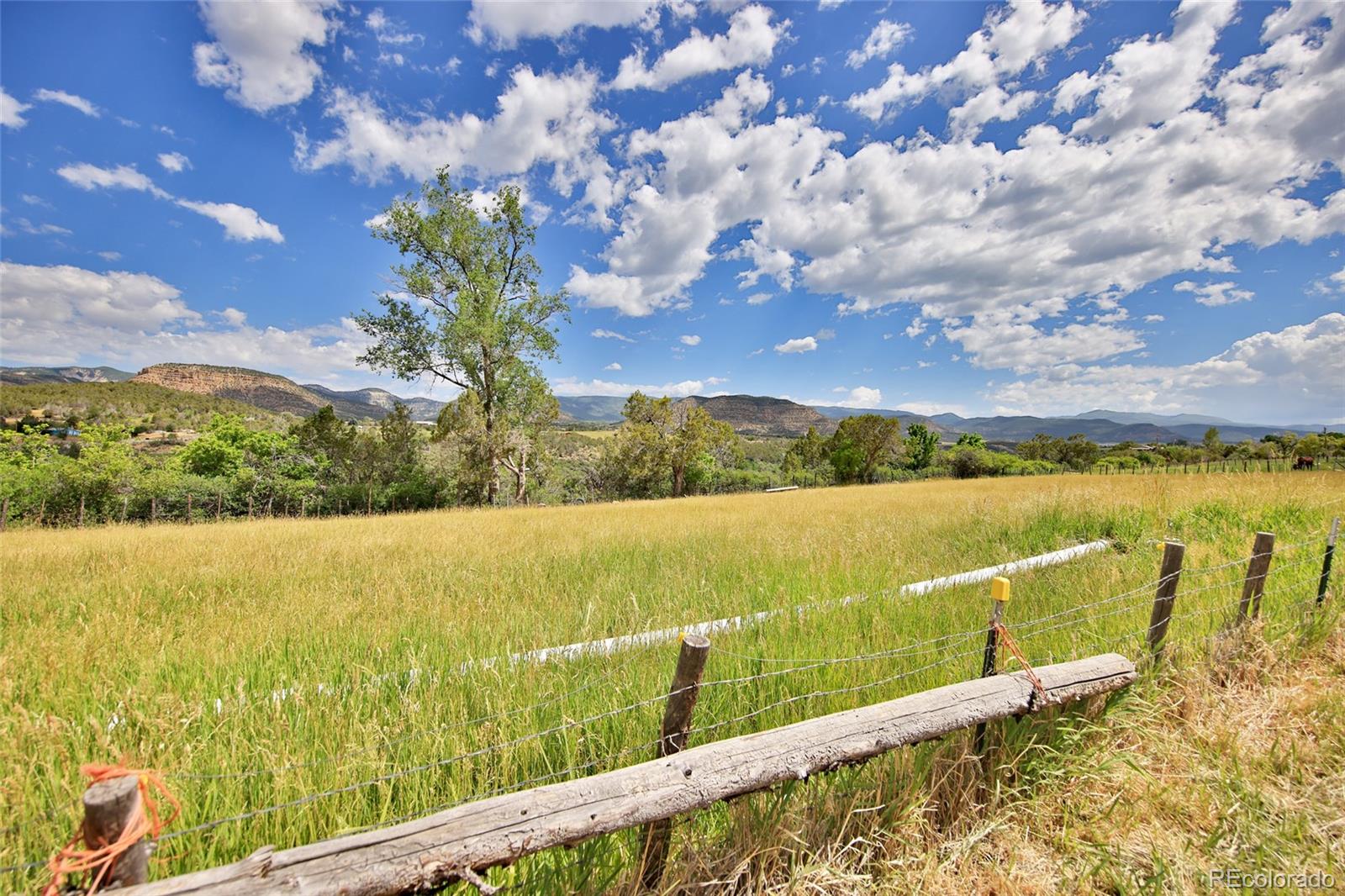 MLS Image #26 for 5867  pe 3/10 road,collbran, Colorado