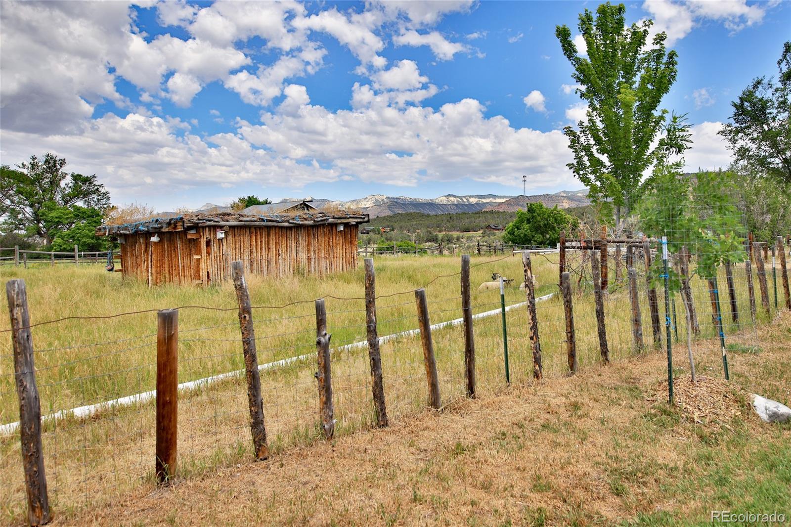 MLS Image #28 for 5867  pe 3/10 road,collbran, Colorado