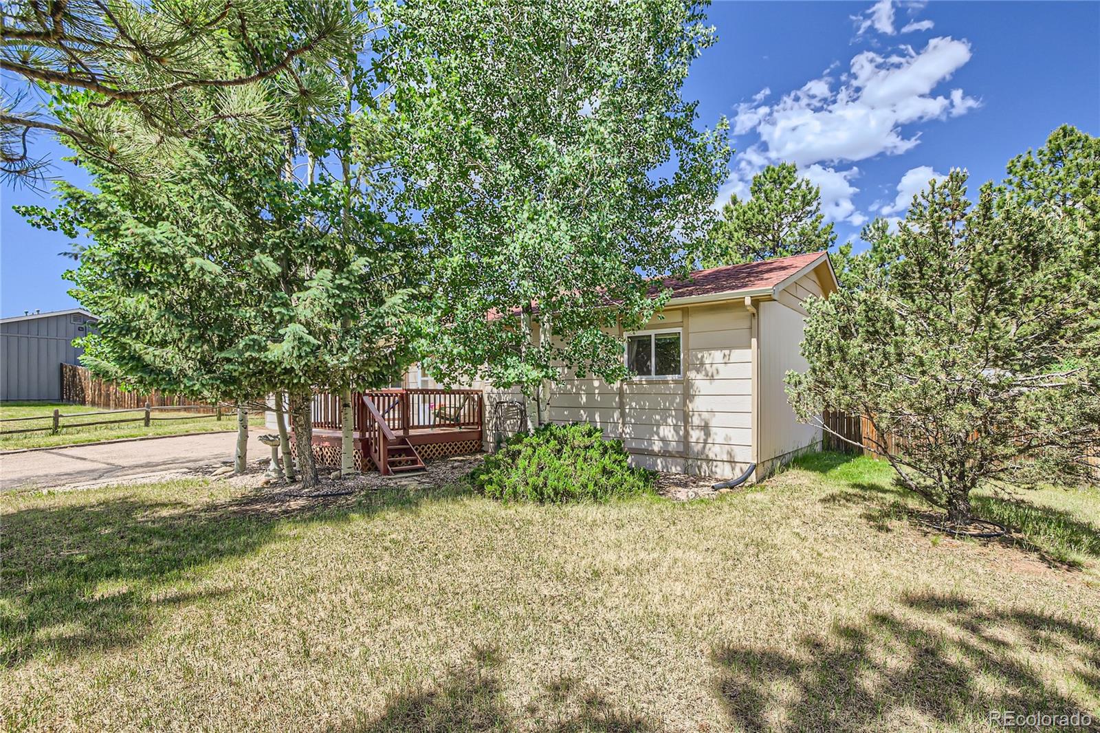 MLS Image #4 for 1240  sundance street,woodland park, Colorado