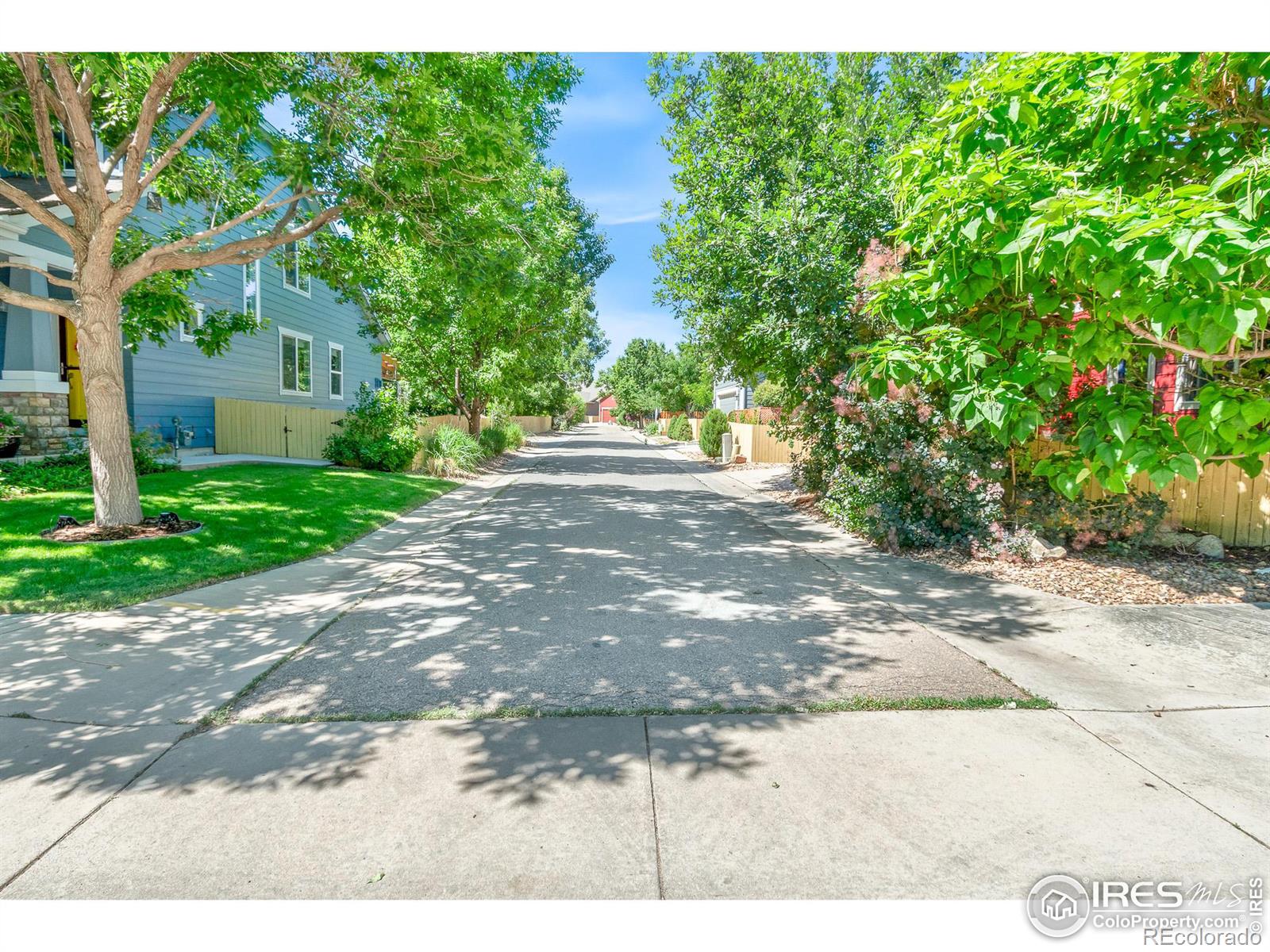 MLS Image #37 for 1821  white feather drive,longmont, Colorado