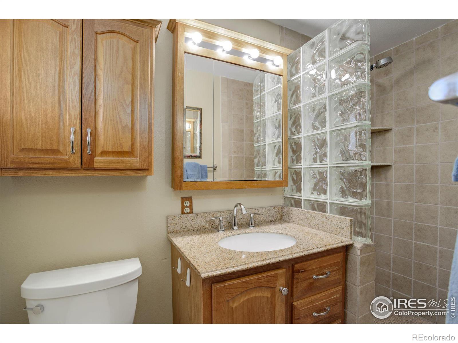 MLS Image #17 for 940  bruce drive,berthoud, Colorado