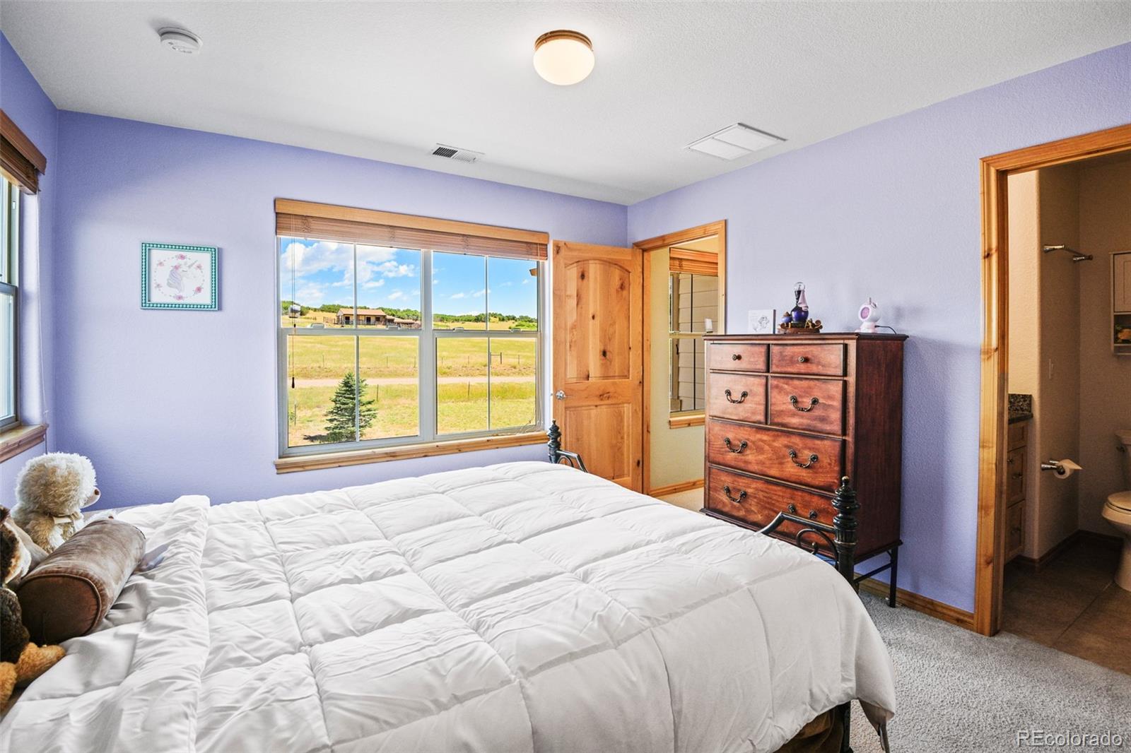 MLS Image #20 for 6316  meadowood lane,sedalia, Colorado