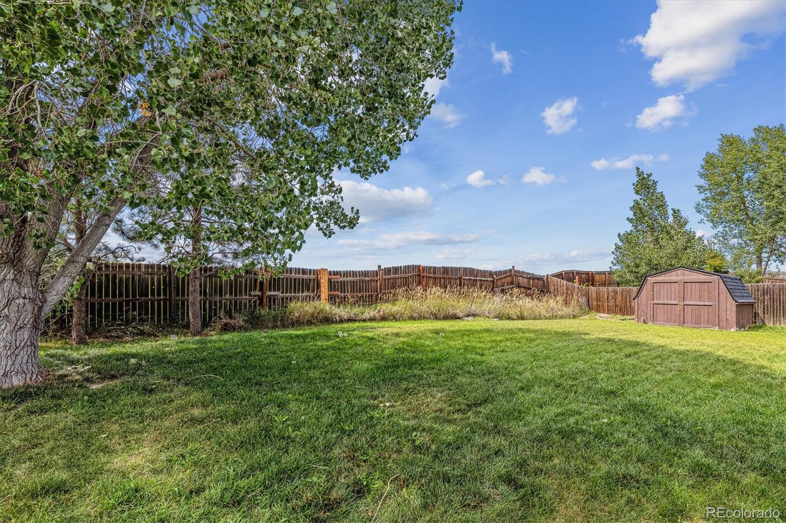 MLS Image #21 for 433  amanda court,elizabeth, Colorado