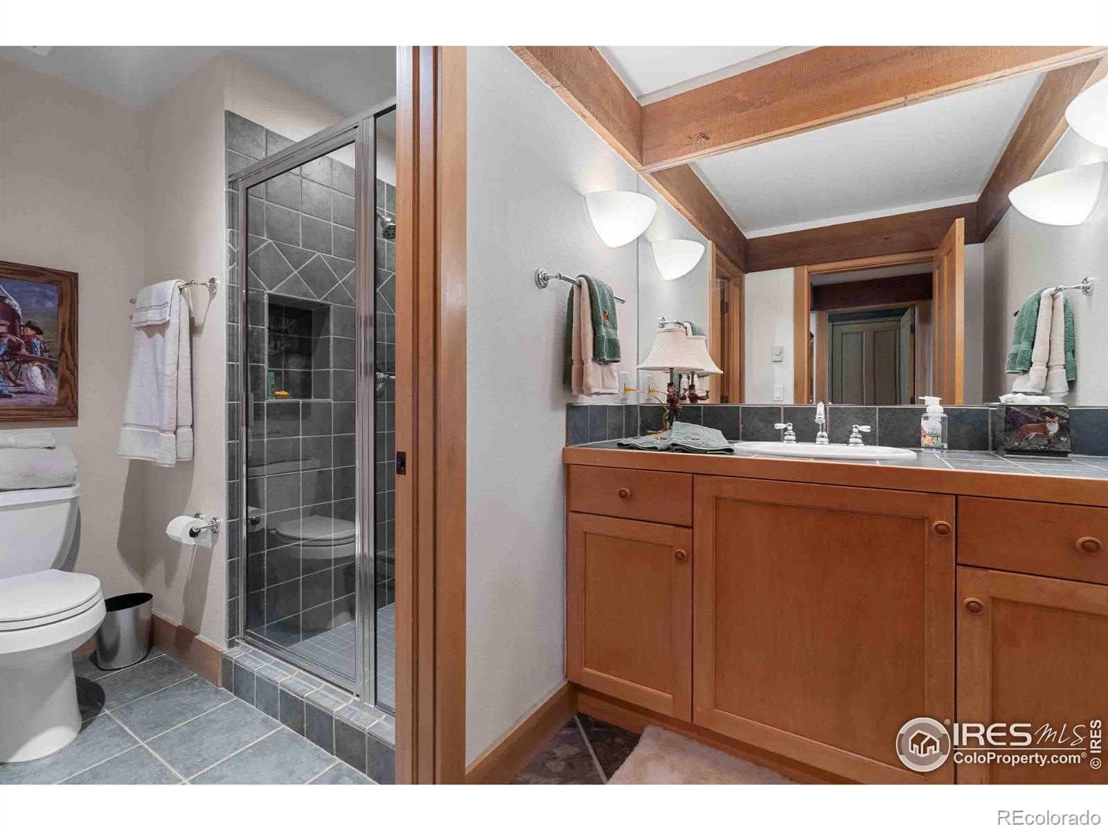 MLS Image #23 for 52  northwoods drive,red feather lakes, Colorado