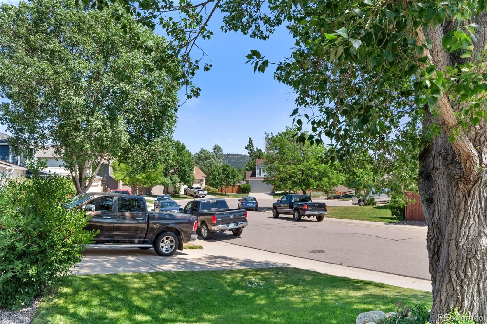 MLS Image #45 for 3225  blue grass court,castle rock, Colorado