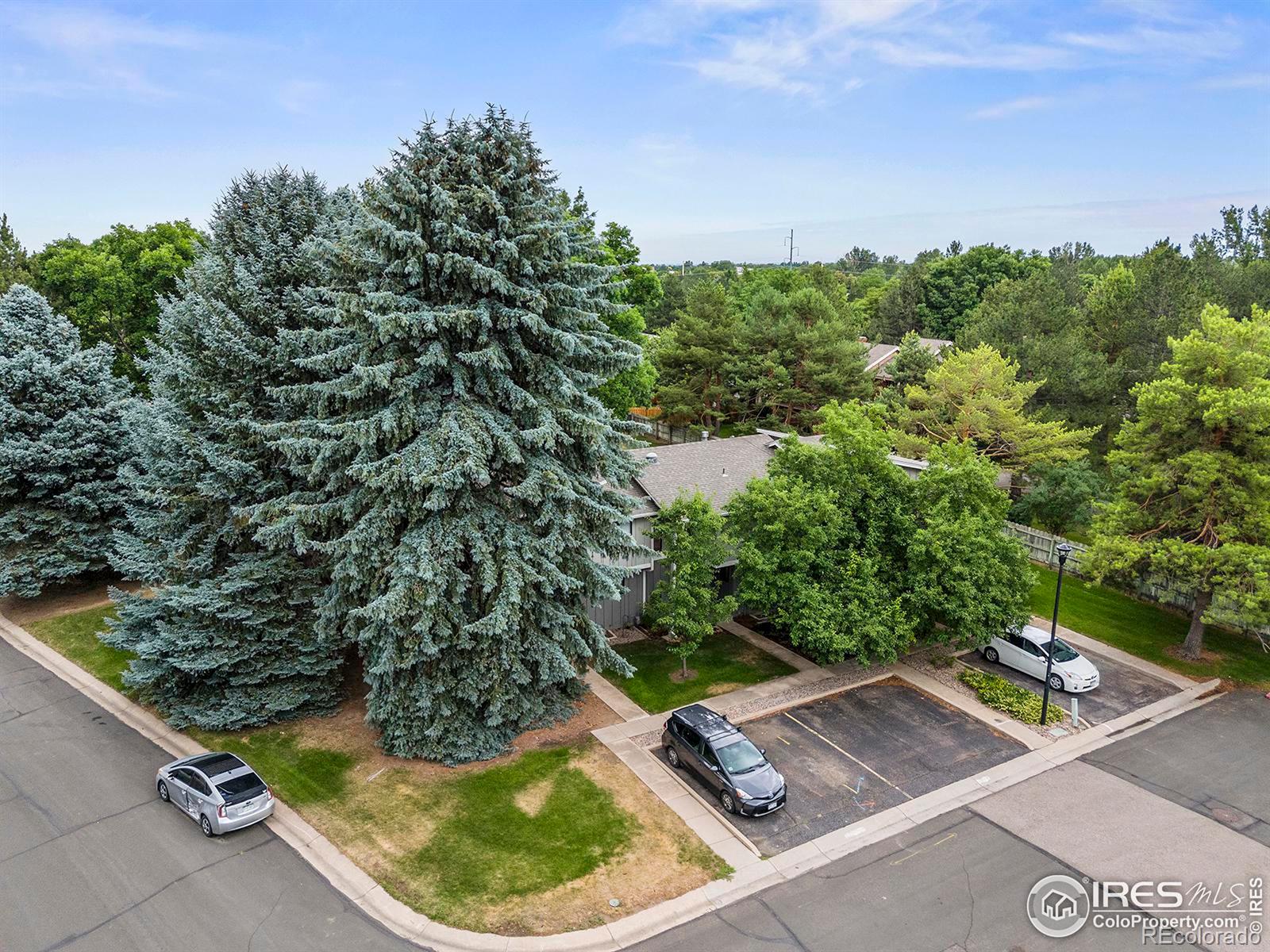 MLS Image #10 for 3104  sail place,fort collins, Colorado