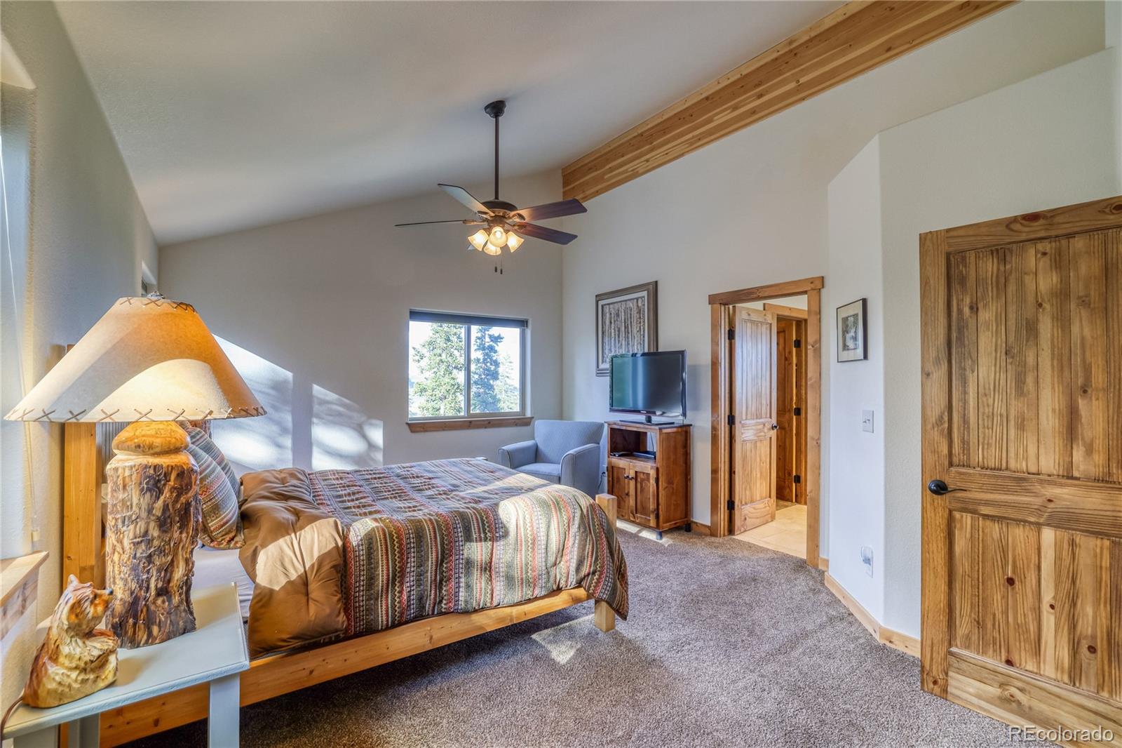 MLS Image #21 for 441  el lobo lane,fairplay, Colorado