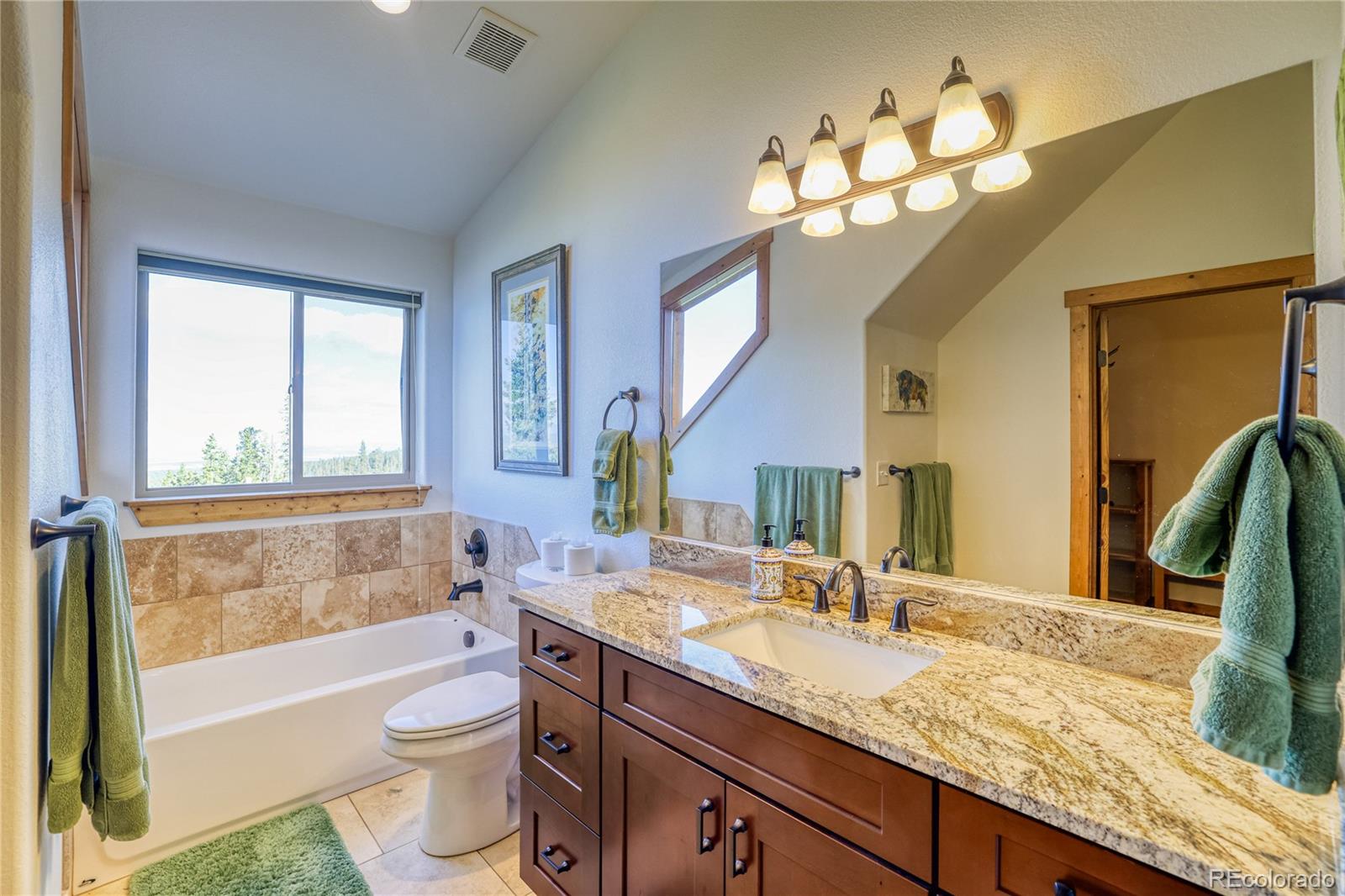 MLS Image #25 for 441  el lobo lane,fairplay, Colorado