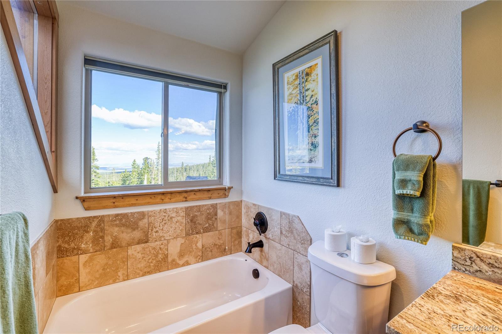 MLS Image #27 for 441  el lobo lane,fairplay, Colorado