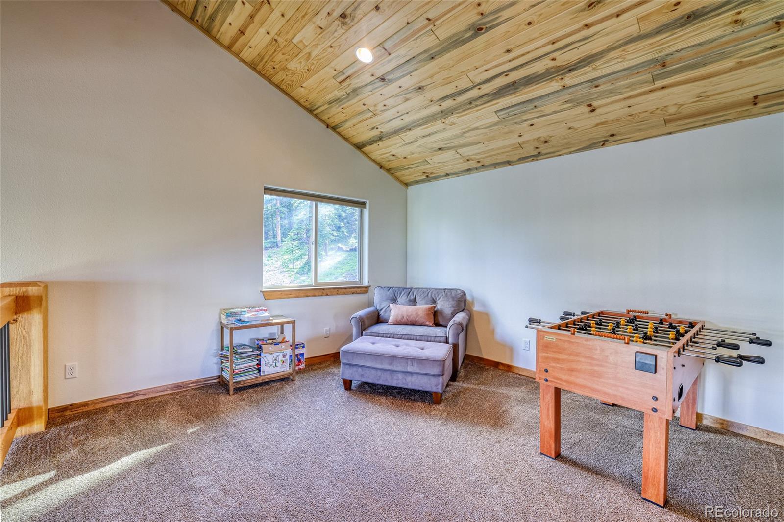 MLS Image #31 for 441  el lobo lane,fairplay, Colorado