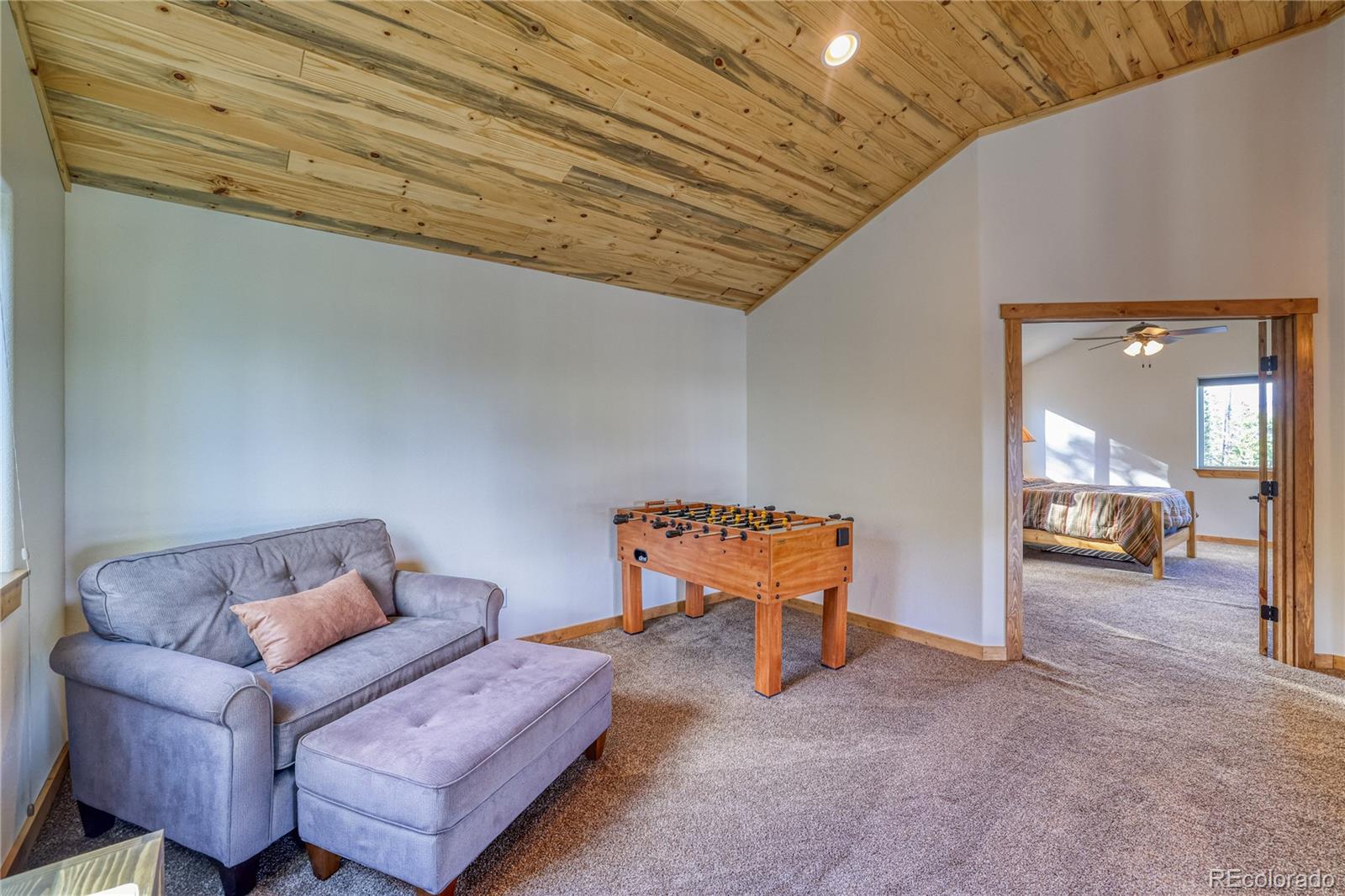 MLS Image #32 for 441  el lobo lane,fairplay, Colorado