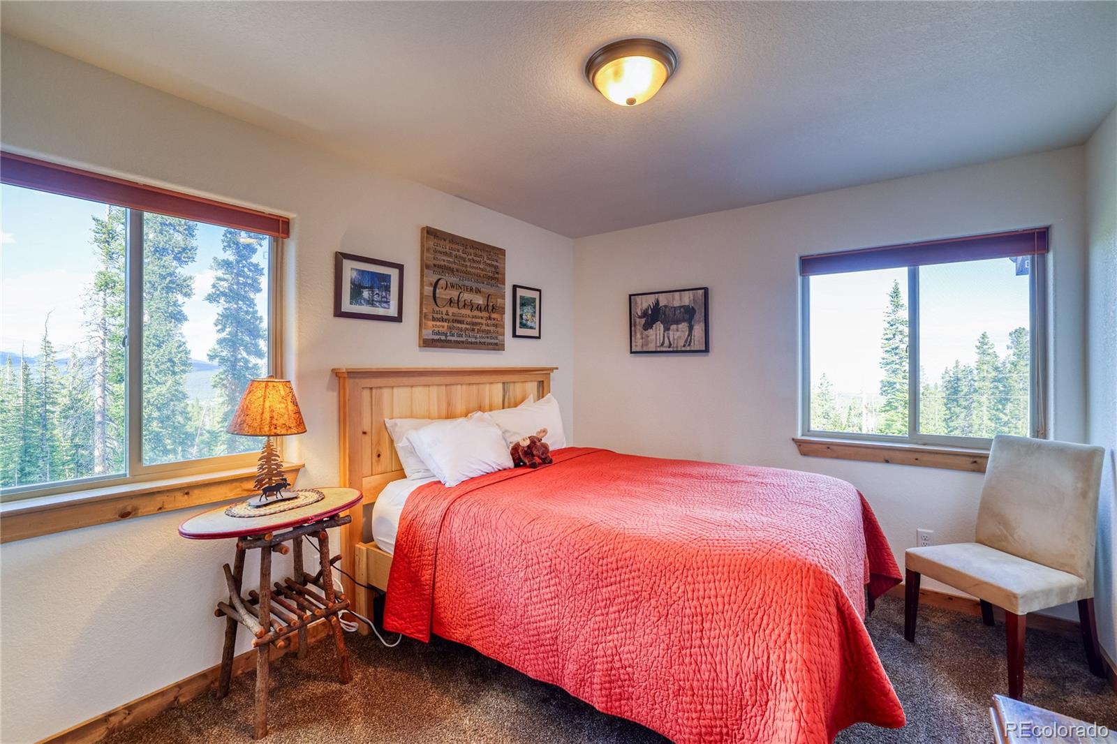 MLS Image #36 for 441  el lobo lane,fairplay, Colorado