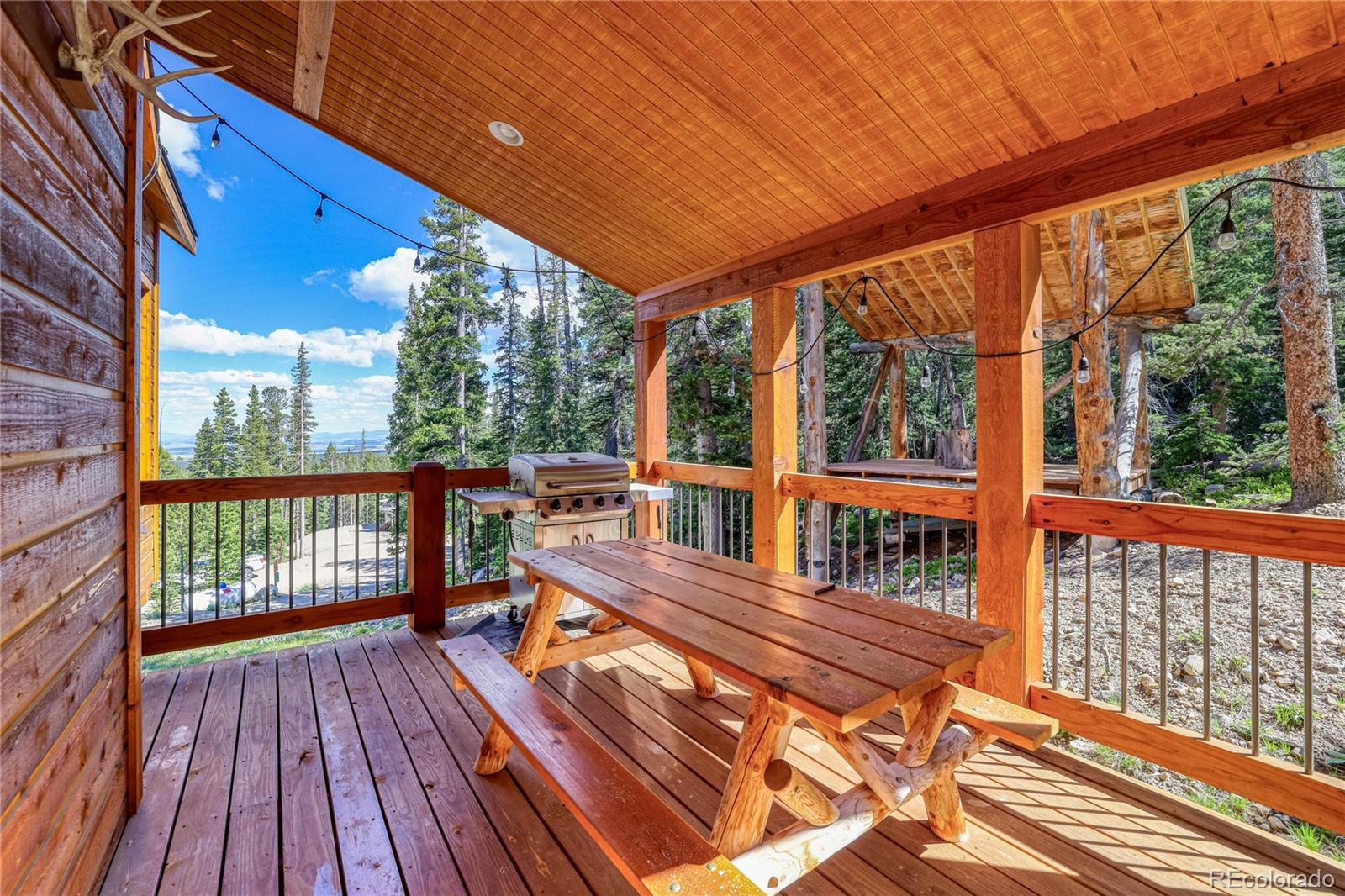 MLS Image #5 for 441  el lobo lane,fairplay, Colorado