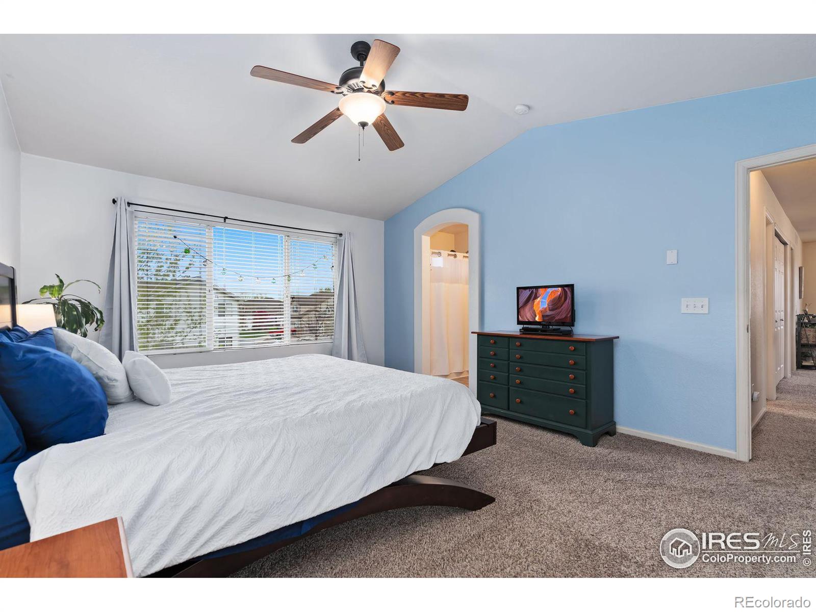 MLS Image #29 for 1596  persian avenue,loveland, Colorado