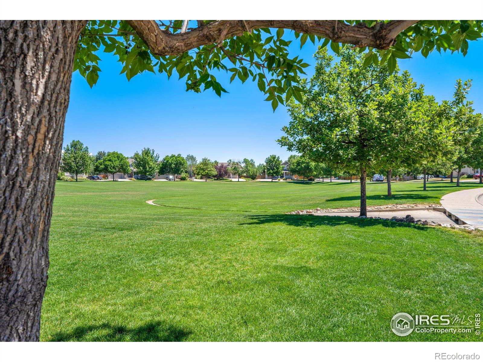 MLS Image #39 for 1596  persian avenue,loveland, Colorado