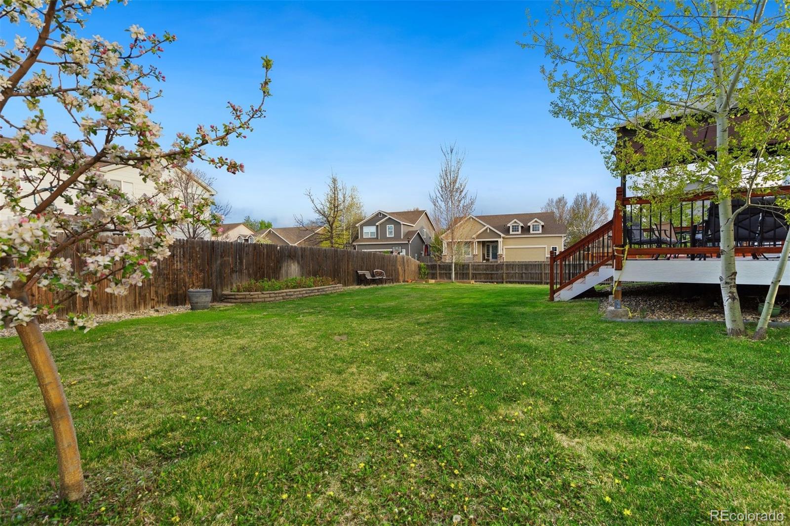 Report Image for 1596  Persian Avenue,Loveland, Colorado