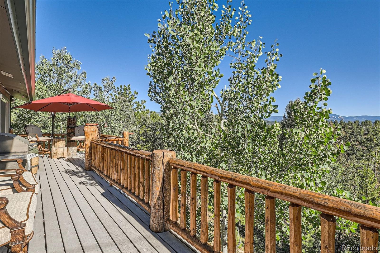 MLS Image #11 for 51  high view lane,bailey, Colorado