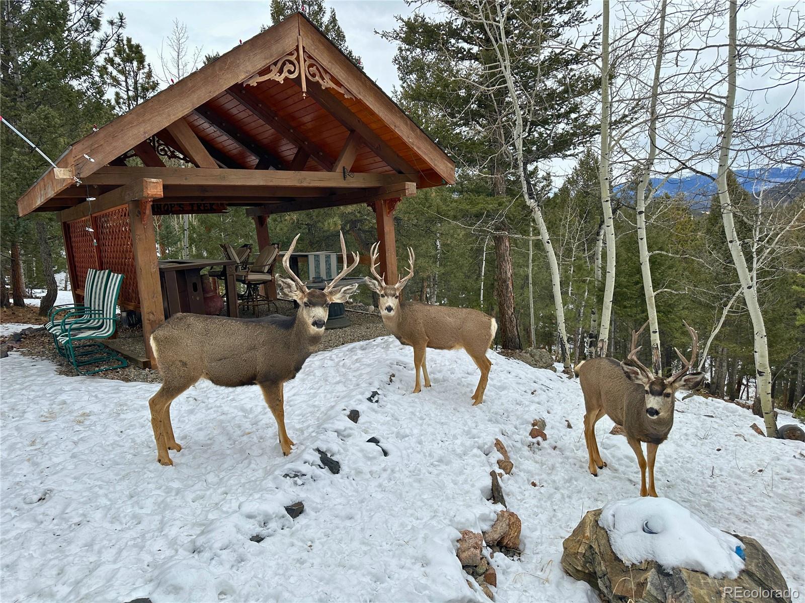 MLS Image #25 for 51  high view lane,bailey, Colorado