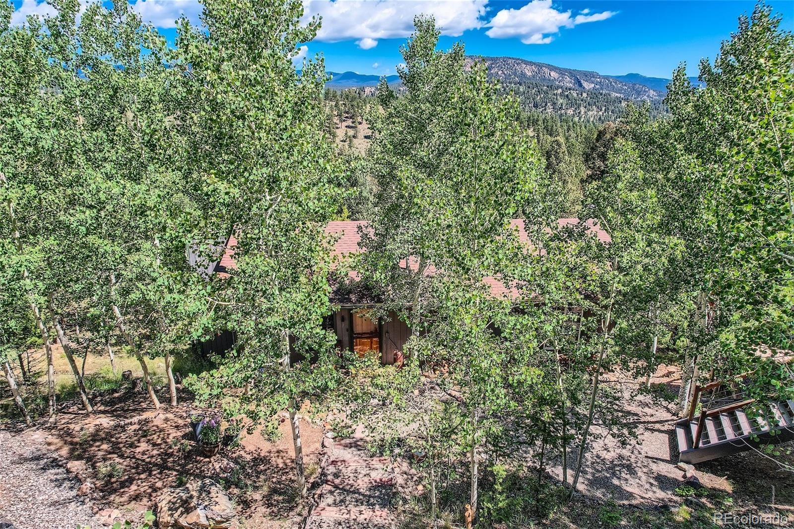 MLS Image #26 for 51  high view lane,bailey, Colorado