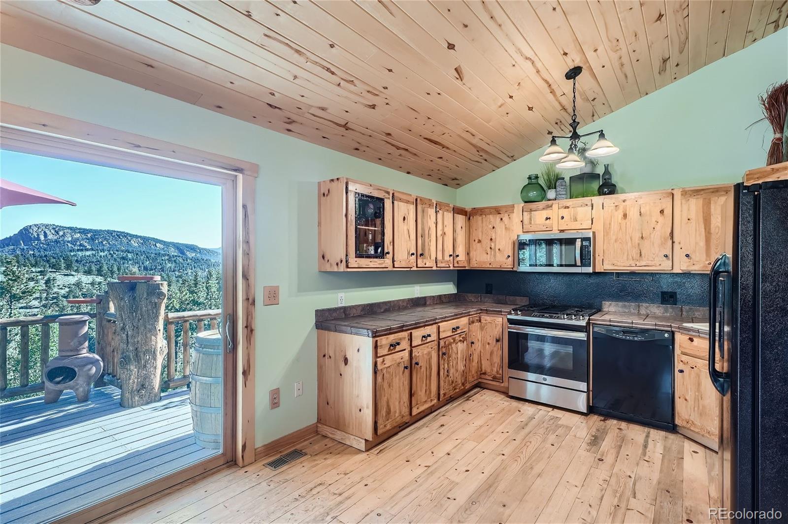 MLS Image #9 for 51  high view lane,bailey, Colorado