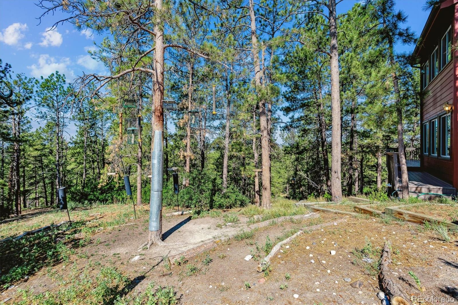 MLS Image #42 for 9805  deerfield road,franktown, Colorado