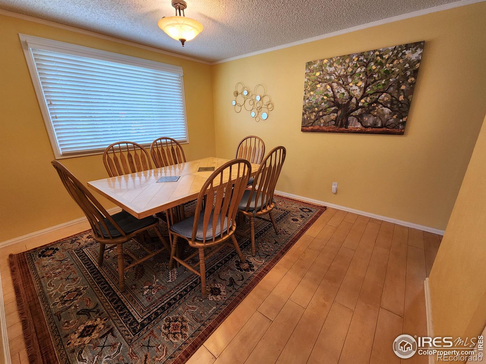 MLS Image #13 for 2240  ulmus drive,loveland, Colorado