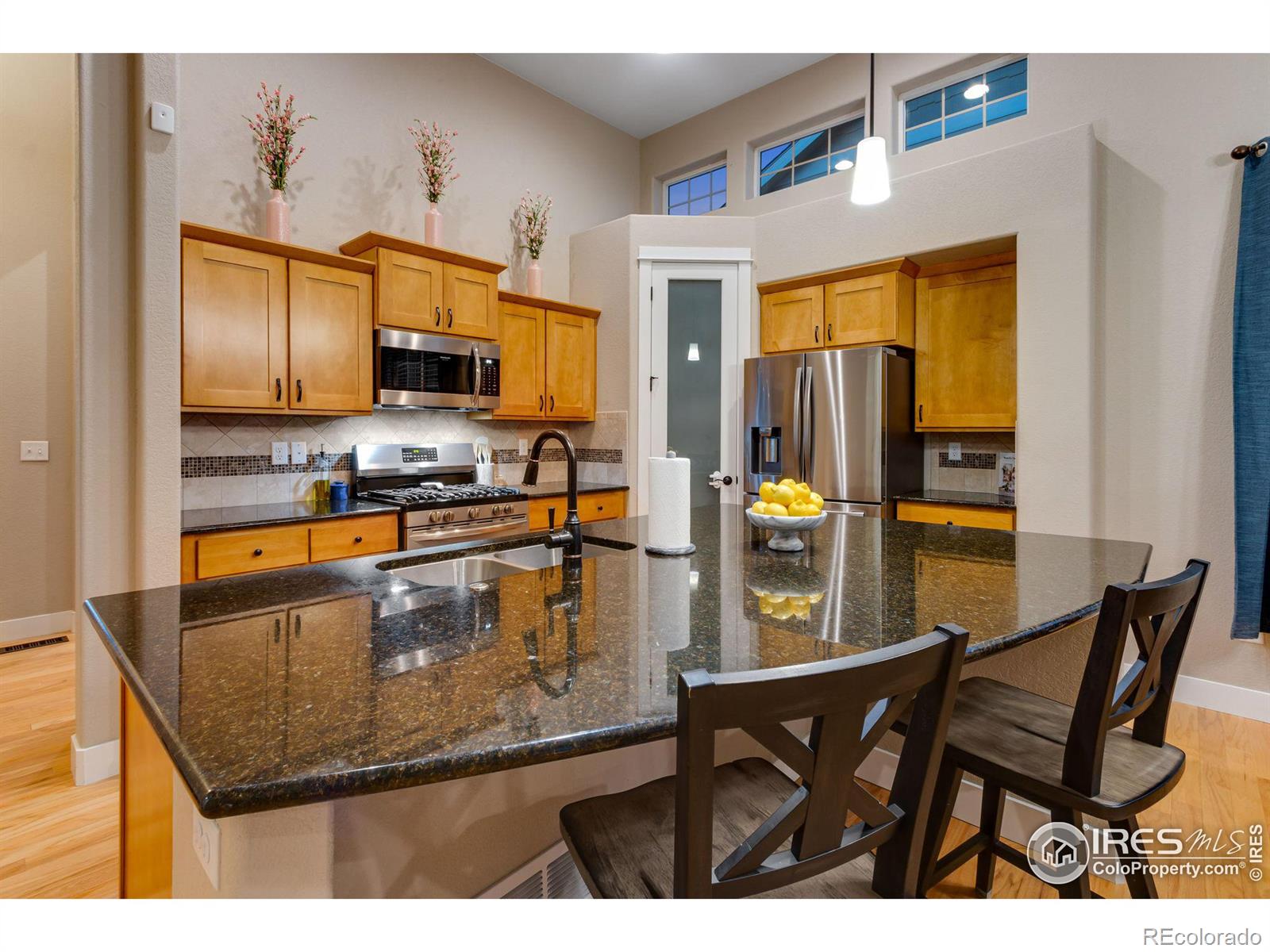 MLS Image #11 for 935  mt andrew drive,severance, Colorado