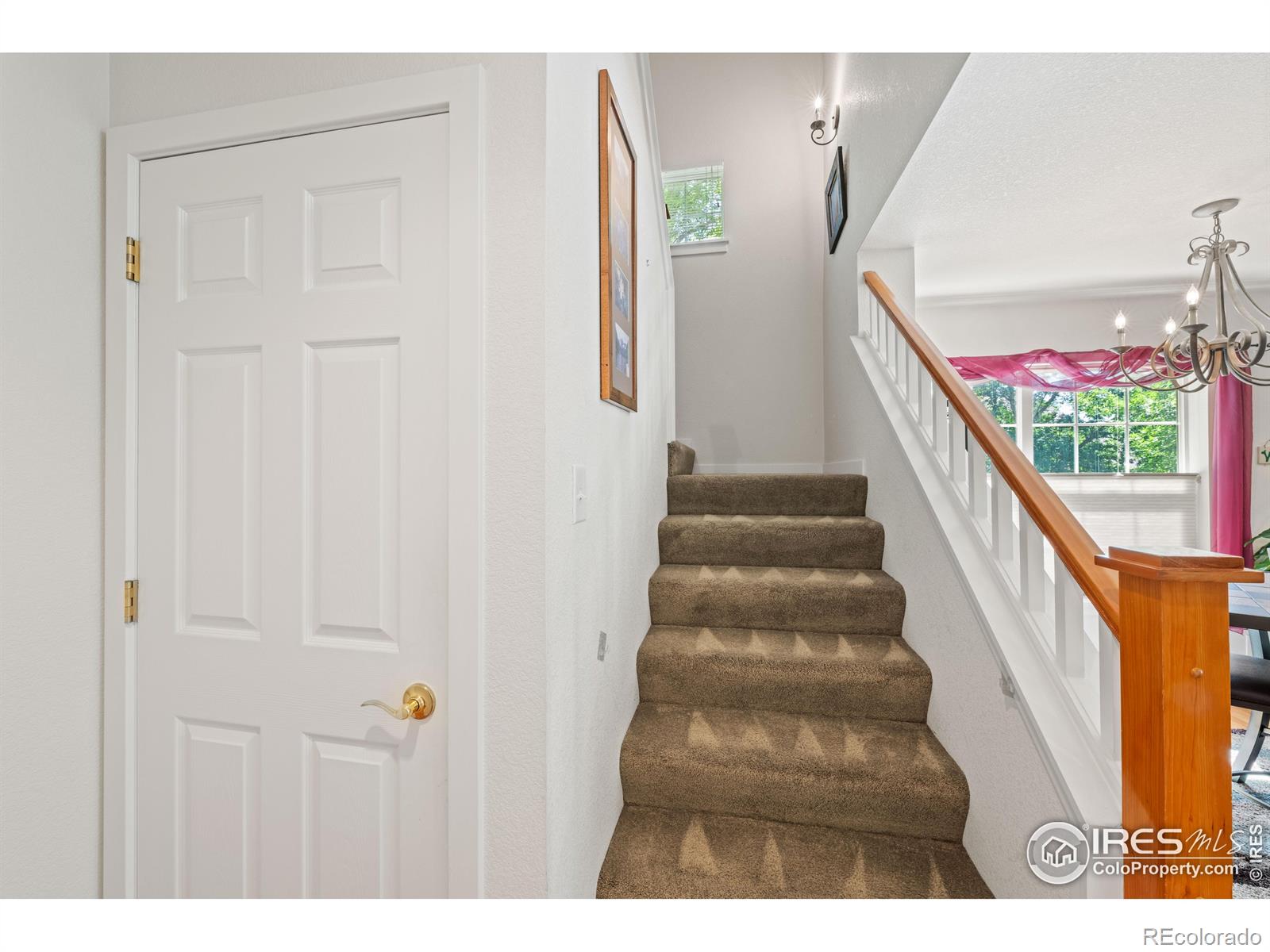 MLS Image #10 for 849  snowberry street,longmont, Colorado