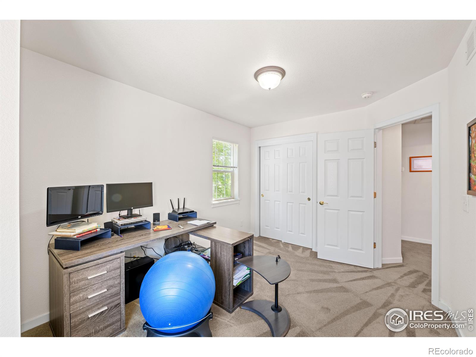 MLS Image #15 for 849  snowberry street,longmont, Colorado