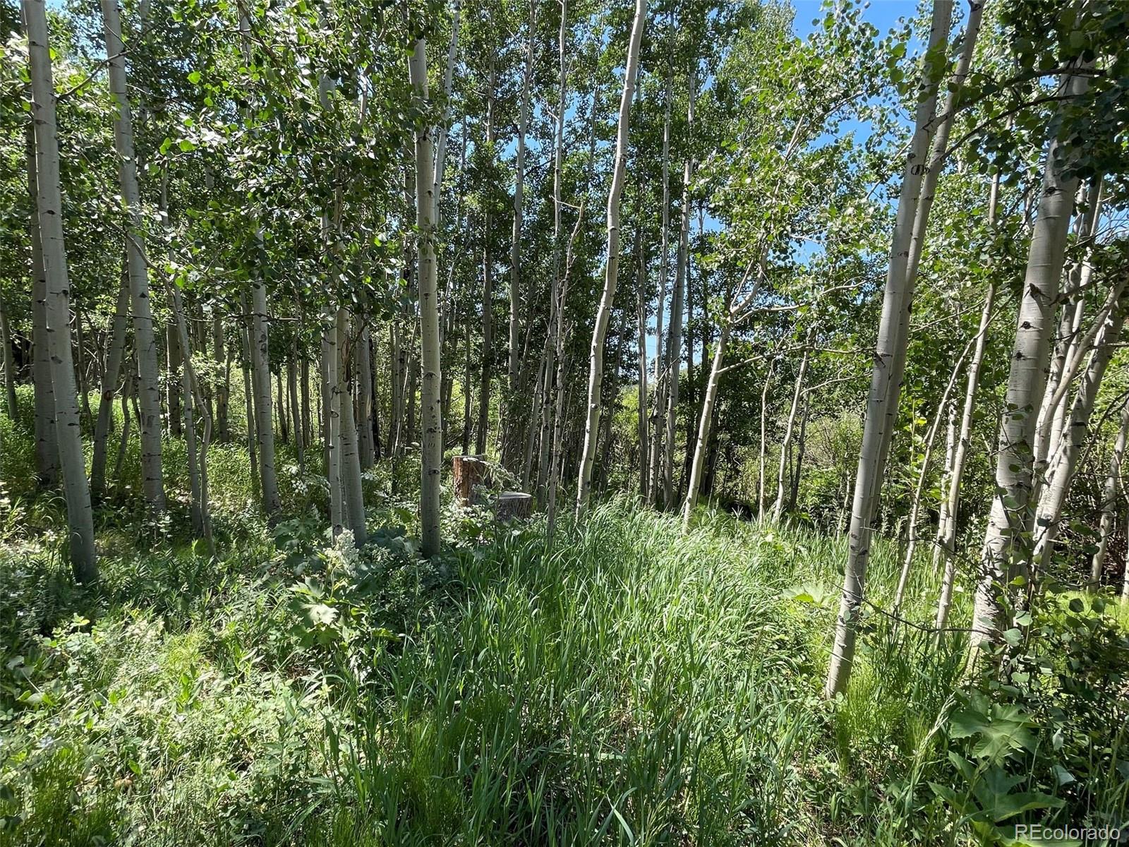 MLS Image #10 for 353 s beaver creek road,black hawk, Colorado