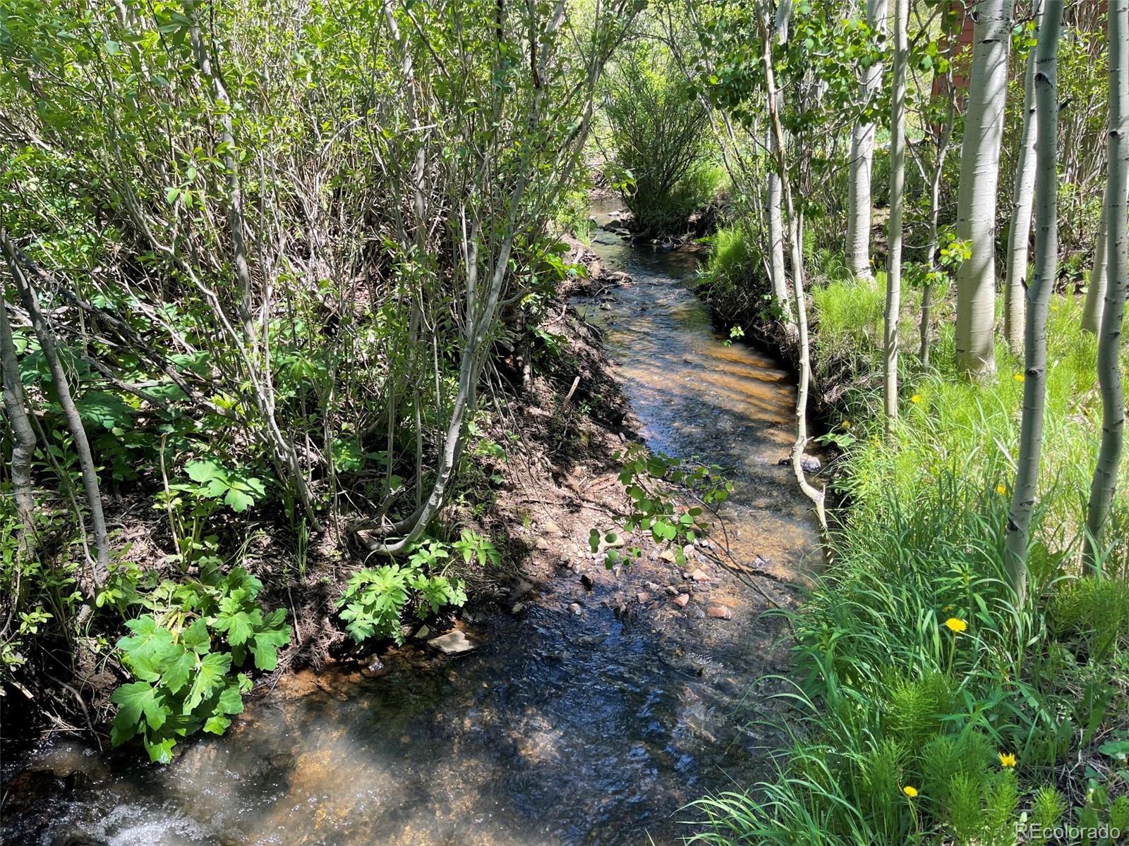 MLS Image #24 for 353 s beaver creek road,black hawk, Colorado