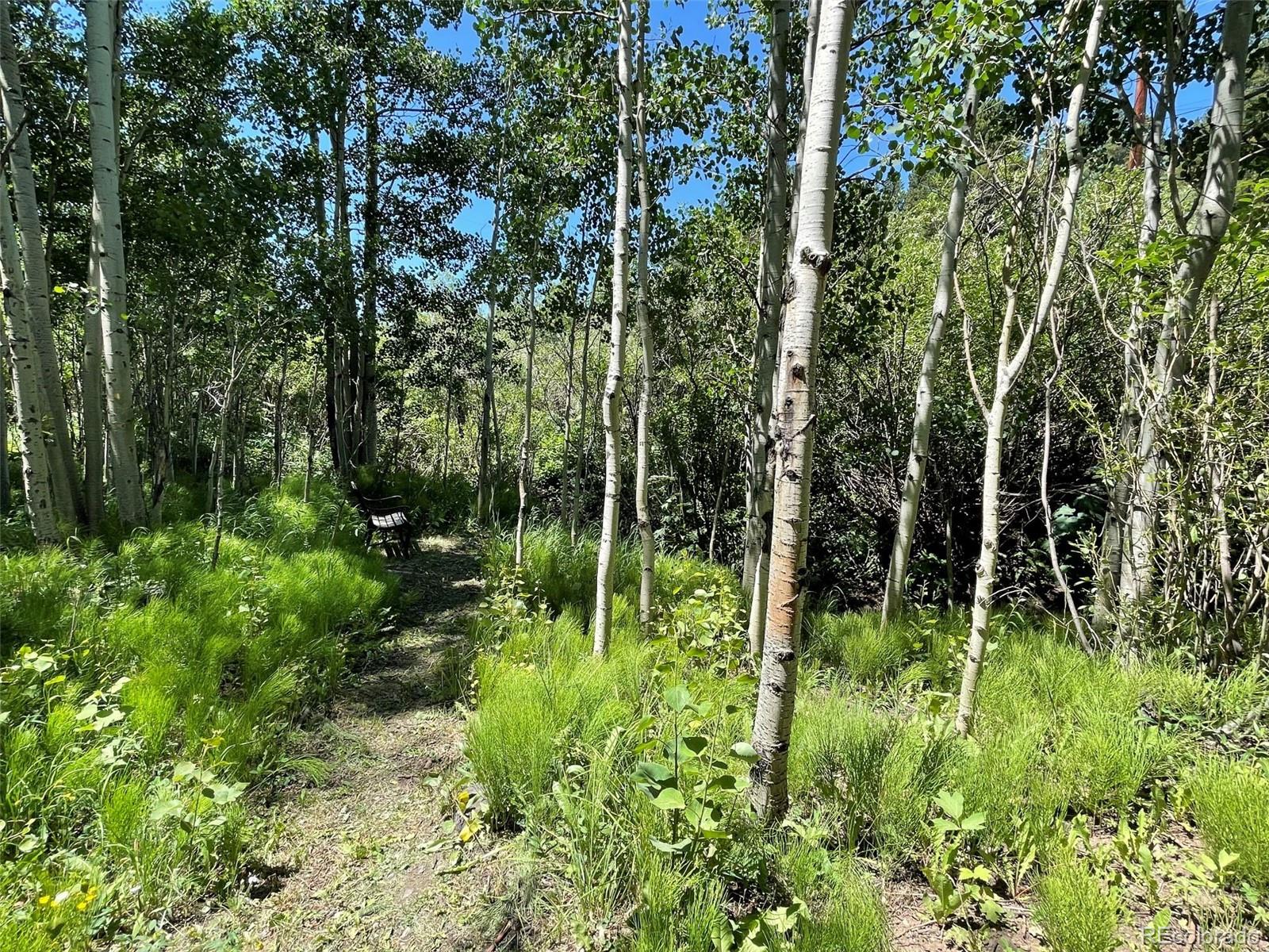 MLS Image #26 for 353 s beaver creek road,black hawk, Colorado