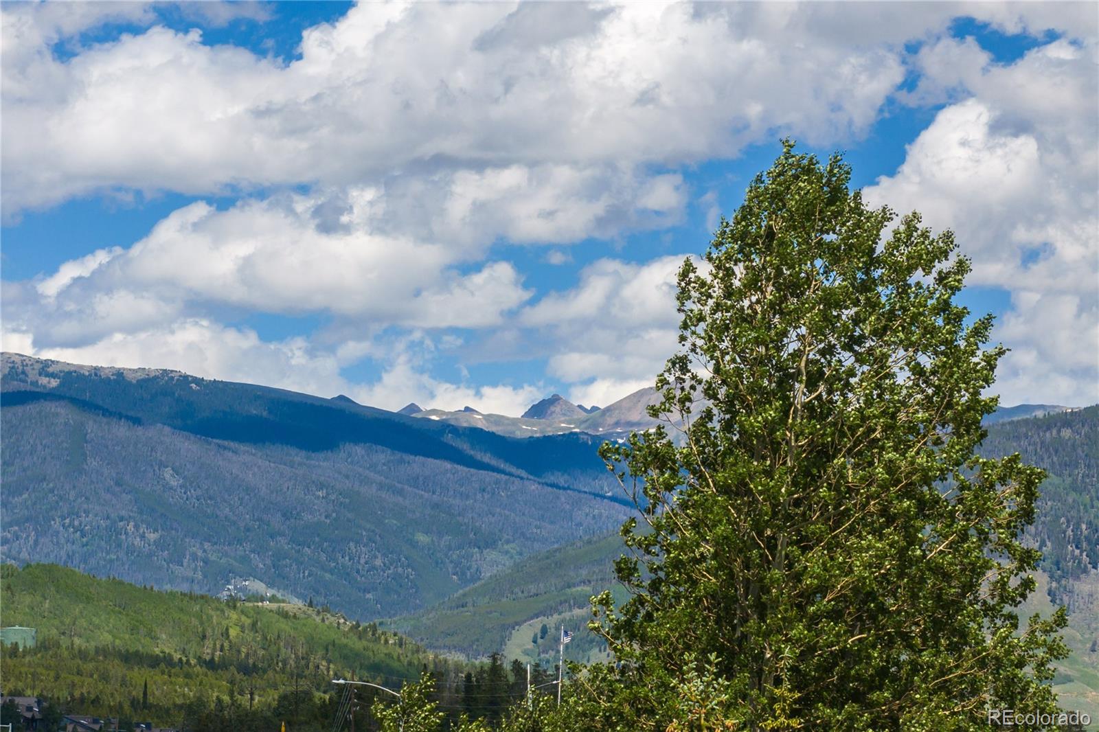 MLS Image #33 for 185  lusher court,frisco, Colorado