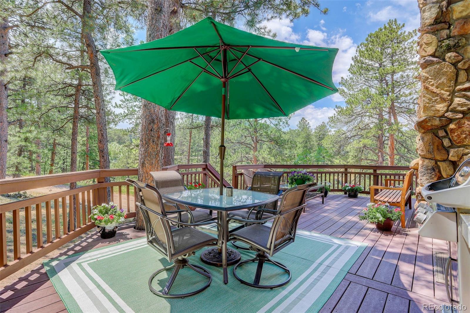 MLS Image #31 for 4664 s pine road,evergreen, Colorado