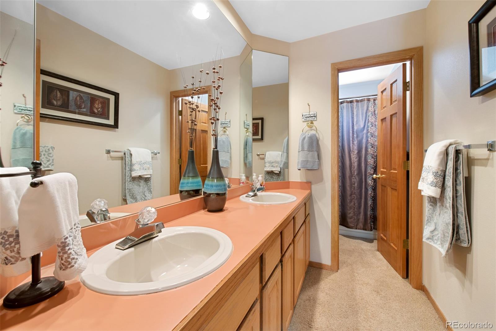 MLS Image #25 for 9  catamount lane,littleton, Colorado