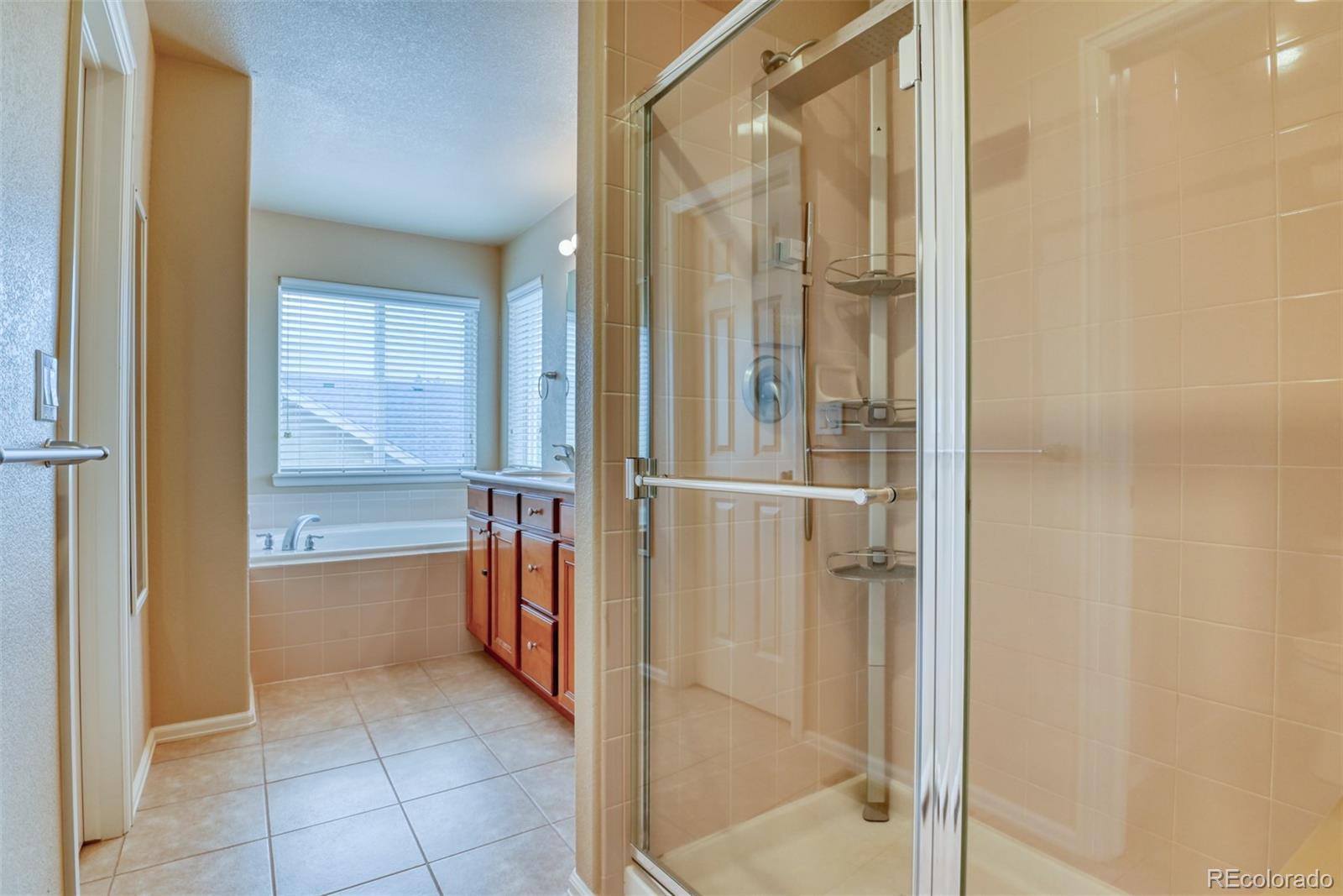 MLS Image #18 for 12244  angelina drive,peyton, Colorado