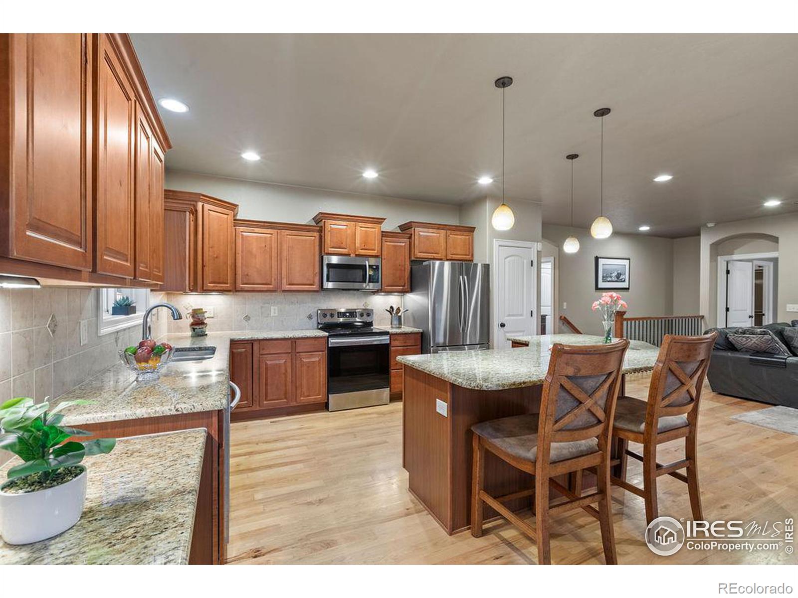 MLS Image #10 for 313  telluride drive,windsor, Colorado