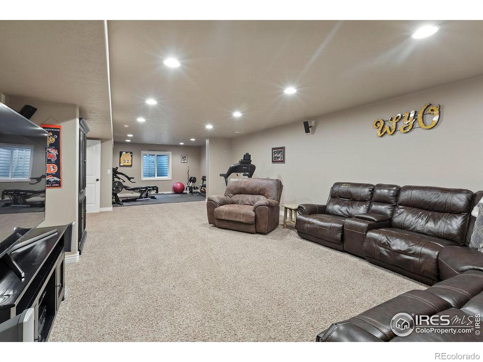 MLS Image #17 for 313  telluride drive,windsor, Colorado