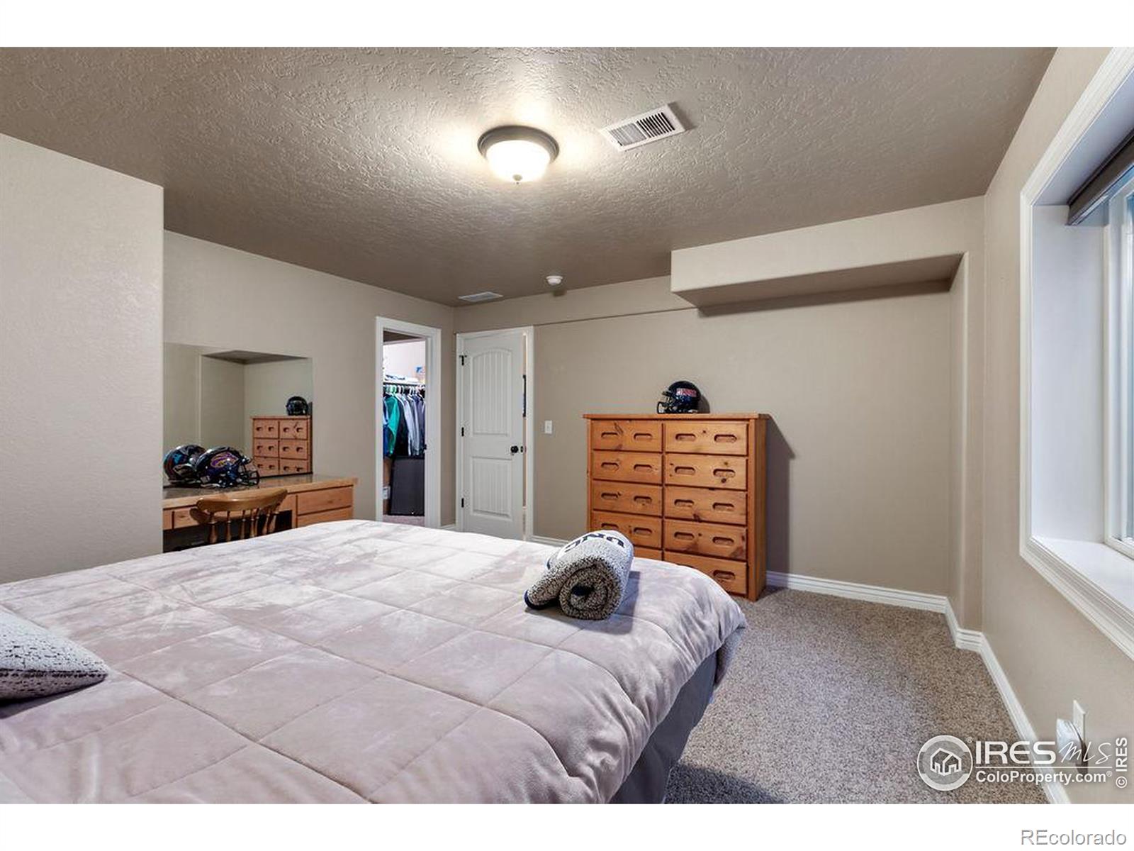 MLS Image #20 for 313  telluride drive,windsor, Colorado