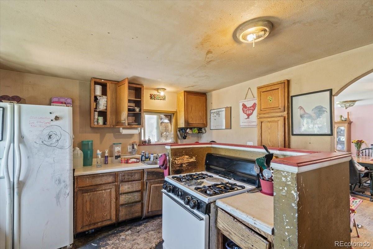 MLS Image #3 for 20  wilmont circle,florence, Colorado