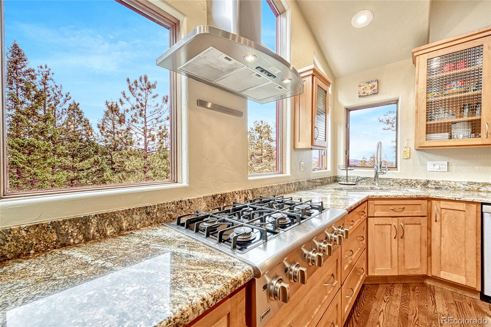 MLS Image #15 for 7032  blue creek terrace,evergreen, Colorado