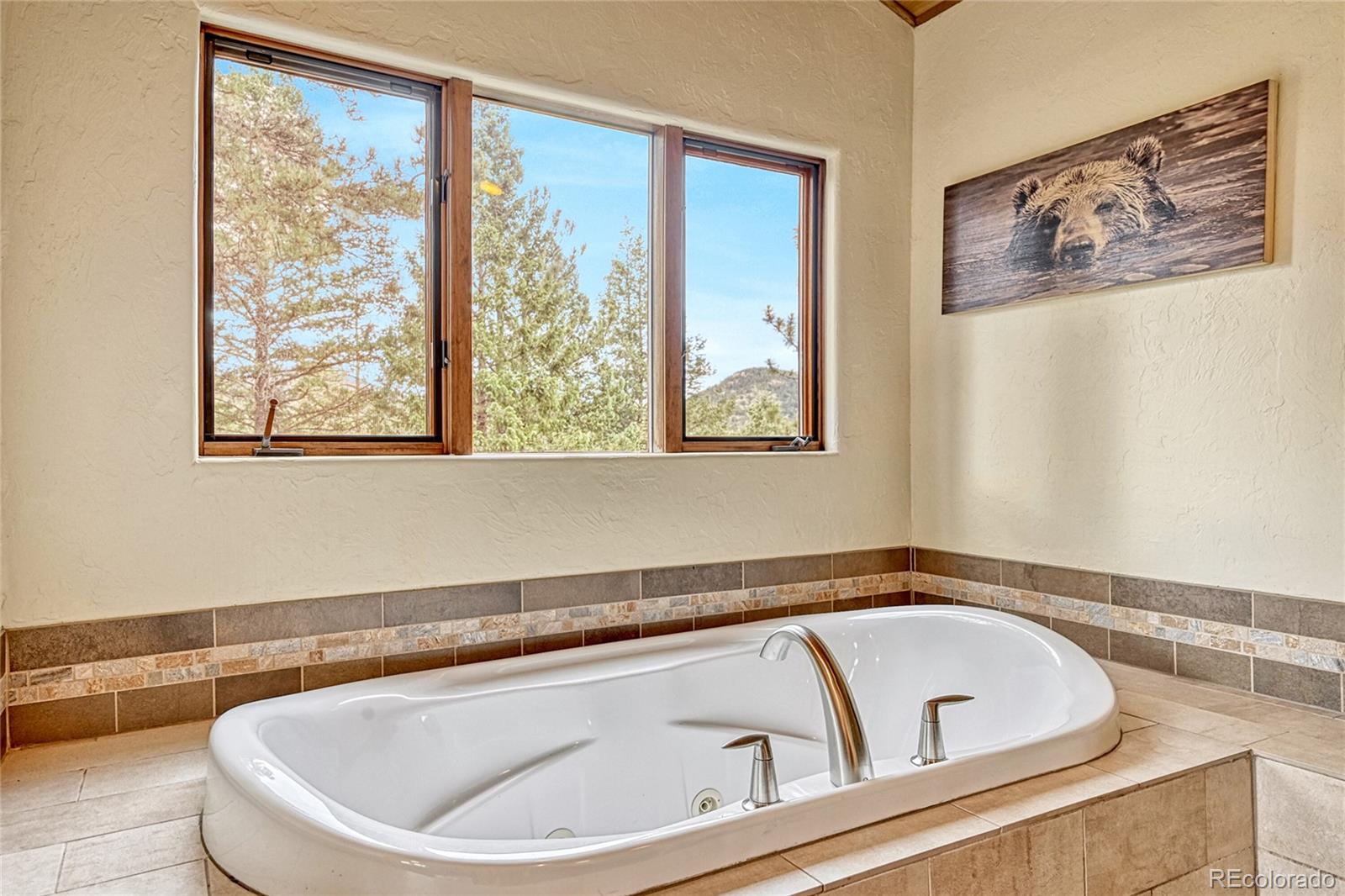 MLS Image #20 for 7032  blue creek terrace,evergreen, Colorado