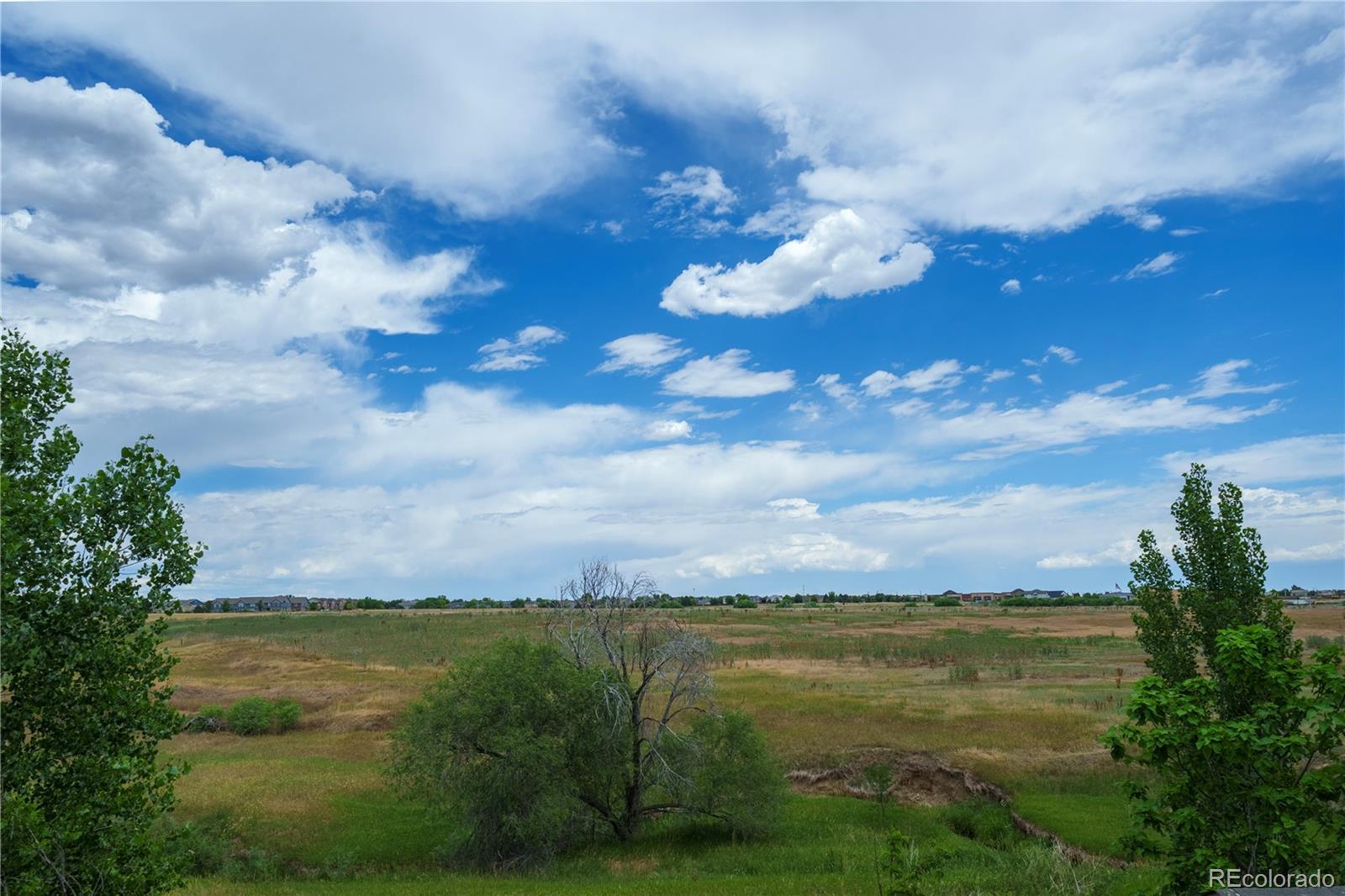 MLS Image #3 for 6675  monaco way,brighton, Colorado