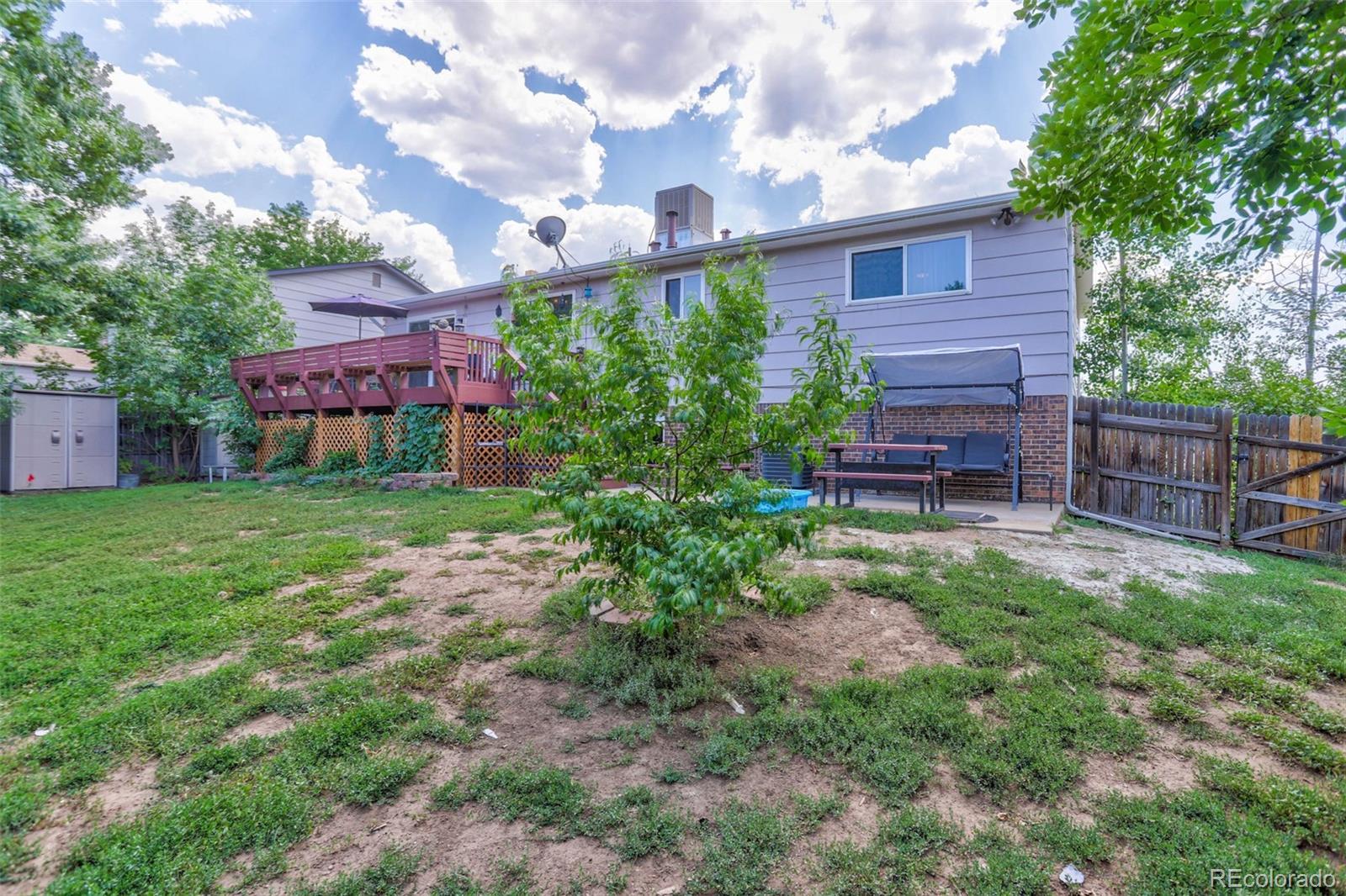 MLS Image #3 for 7244  braun court,arvada, Colorado